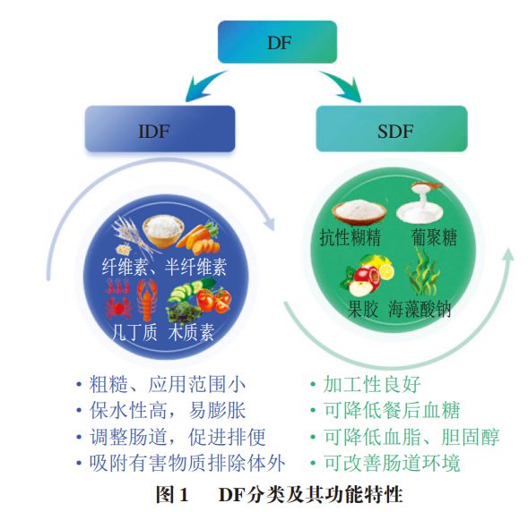 《食品科学》：浙江科技大学胡志军教授、陈华副教授等：膳食纤维不同改性技术研究进展