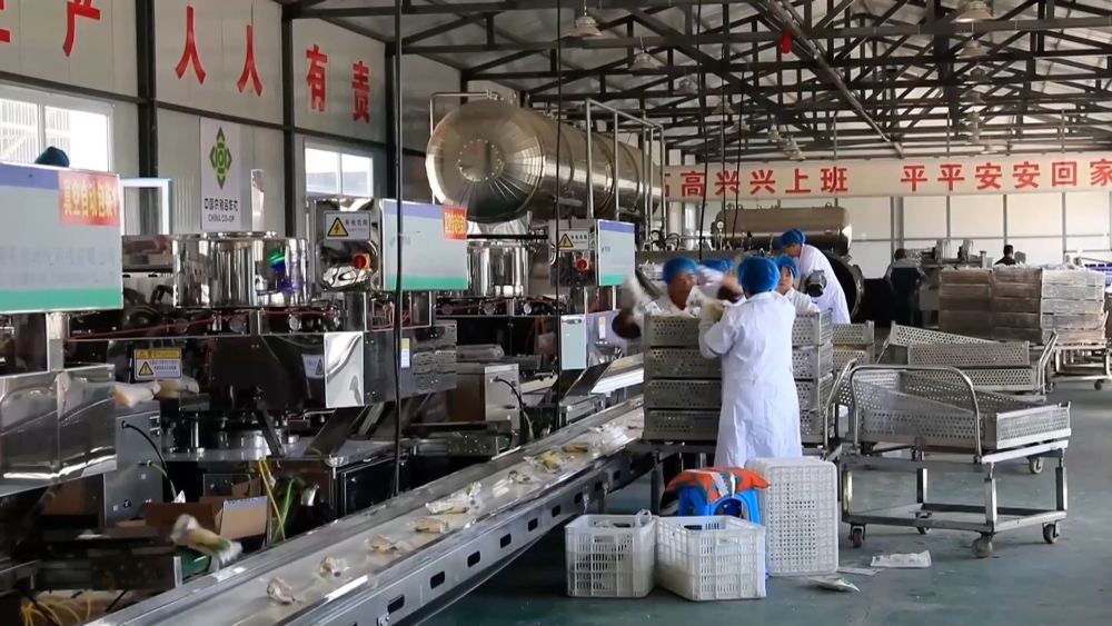 新华视点｜金秋九月话丰收 特色农业绘就乡村振兴新图景(图7)