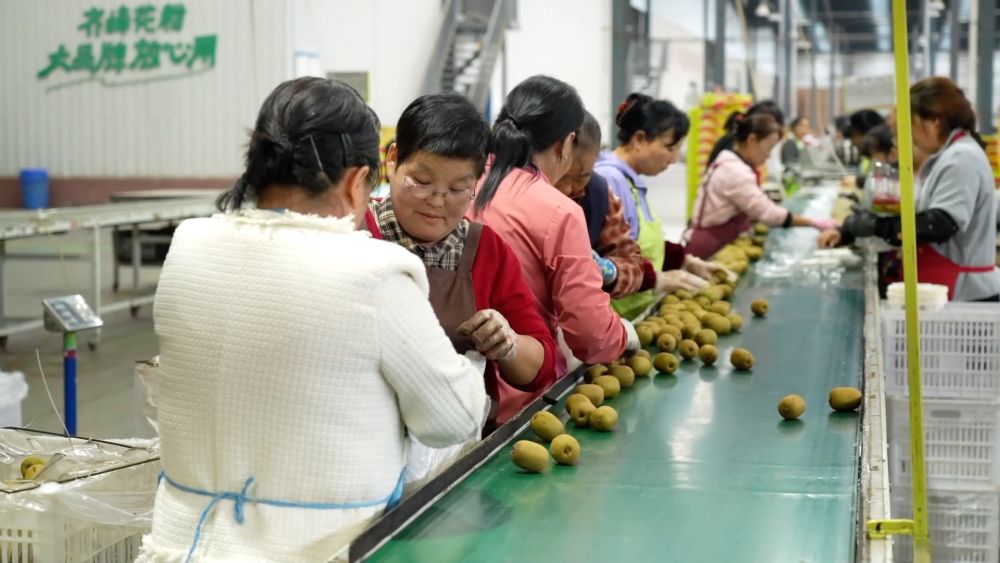 新华视点｜金秋九月话丰收 特色农业绘就乡村振兴新图景(图5)