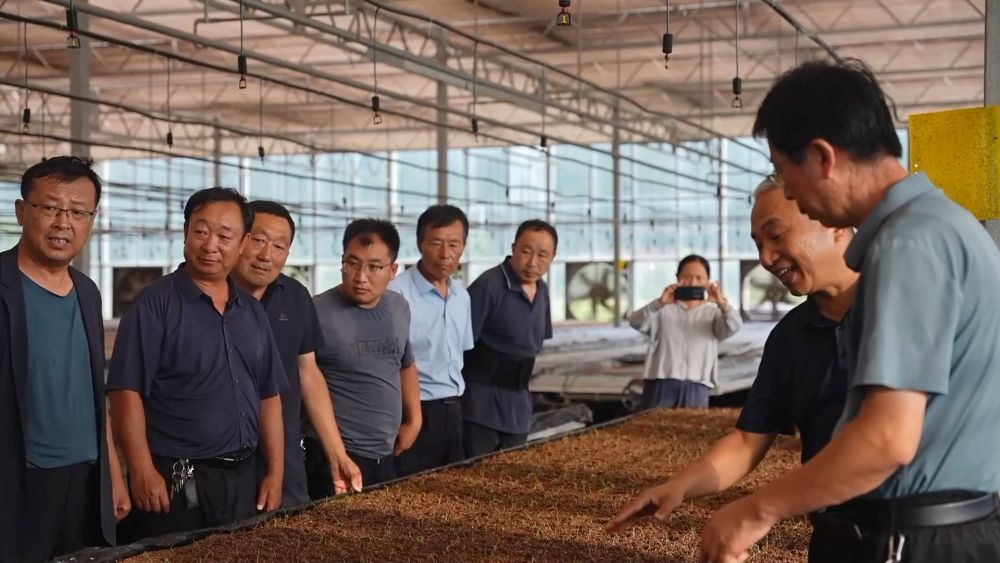 新华视点｜金秋九月话丰收 特色农业绘就乡村振兴新图景(图14)