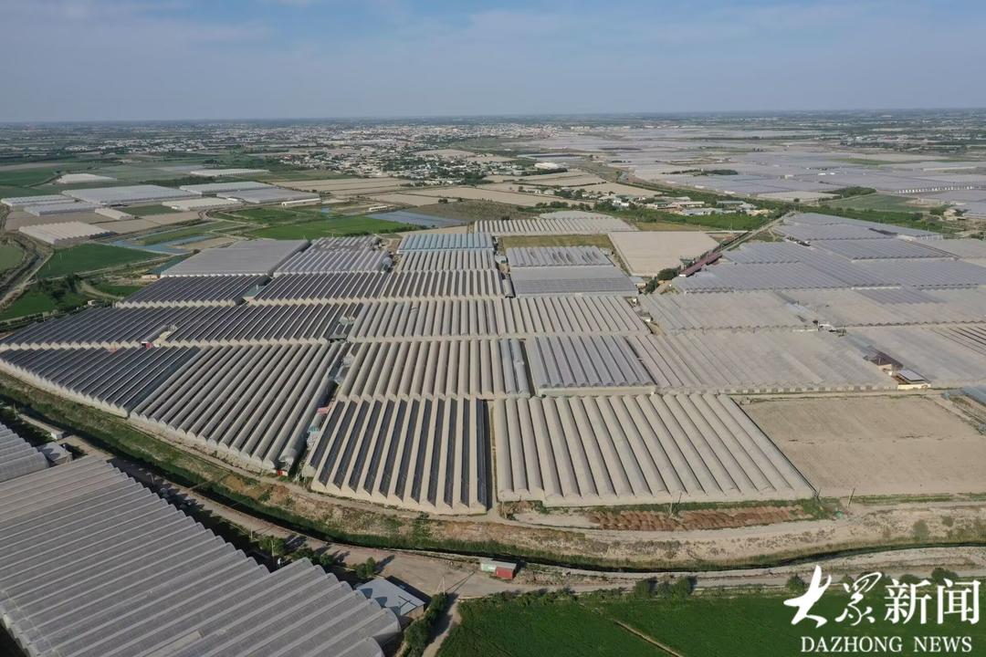 农技出海记①丨从技术出海到模式共赢这家鲁企将“中国棚”种到全球40国(图8)