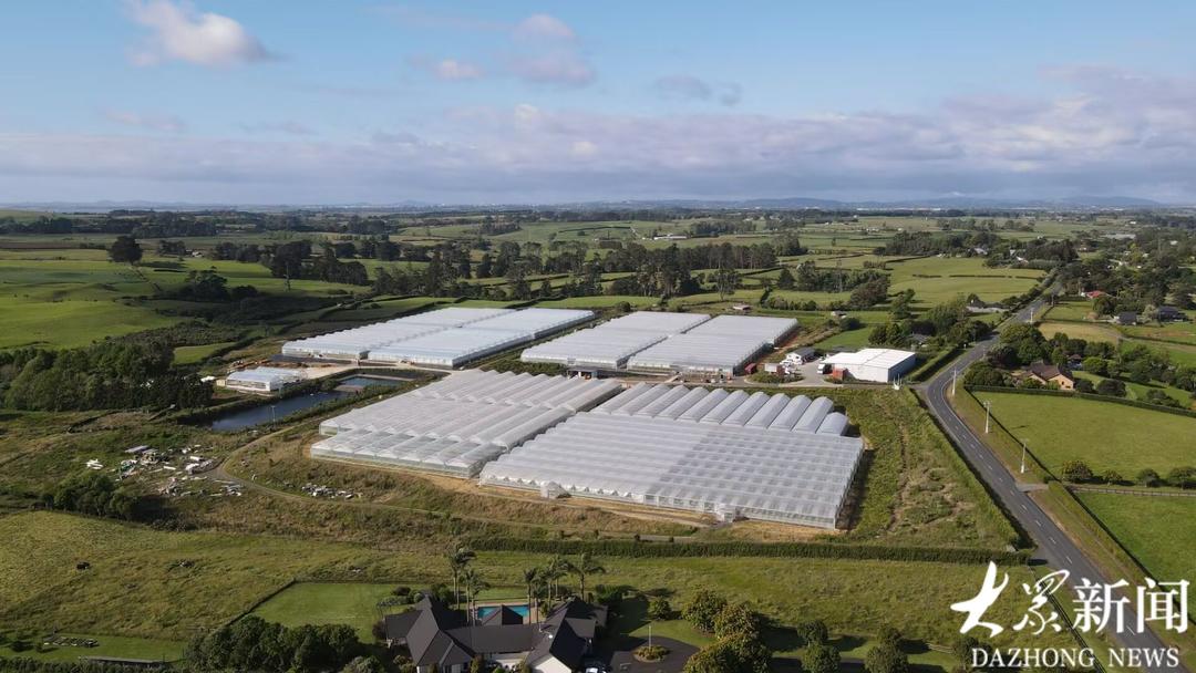 第十屆中國國際食品餐飲博覽會在長沙開幕【6】(图4)