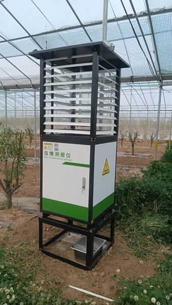 虫情测报：现代农业可持续发展的科技基石(图2)