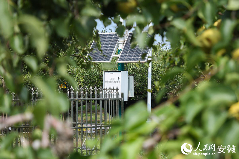 5年这样打开宿州②｜“慧”种田科技开良方(图3)