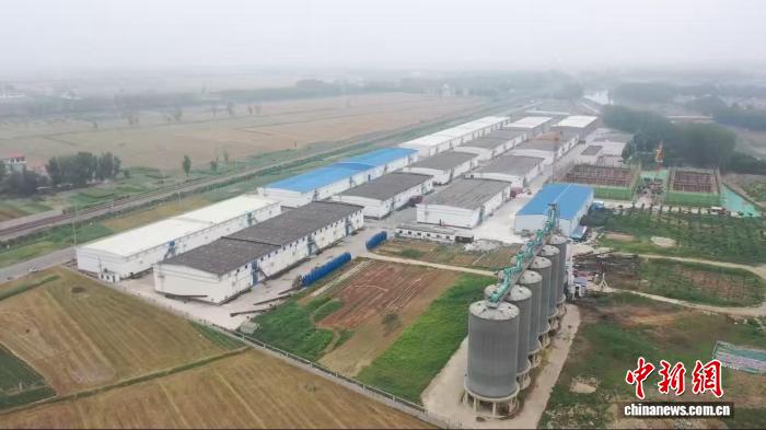 从“靠天吃饭”到筑牢“齐鲁粮仓” 山东用“芯”端稳饭碗(图3)