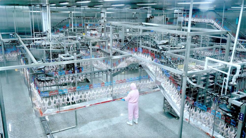 春雪食品集团郑钧谈品质建设与战略转型(图2)