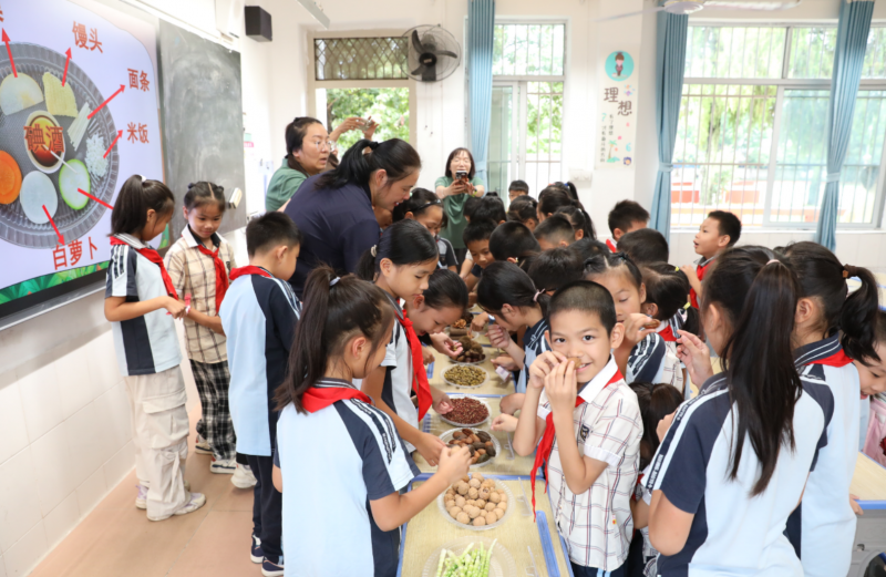 2025年全国科普月∣广西林科院打开森林食品科学探索之旅(图5)