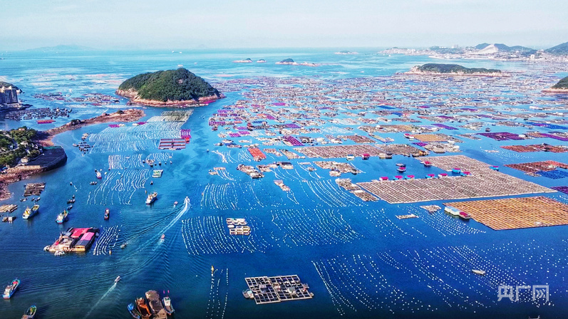 非凡“十四五”丨福建农业农村：山海奋进谱新篇 沃野渔歌看巨变(图2)