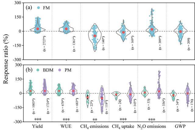 全球农膜对比研究出炉：生物降解地膜可持续性优势显著