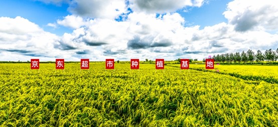 京东农特产节成交额增长超60% 百万亩京东基地助百万农户增收三成