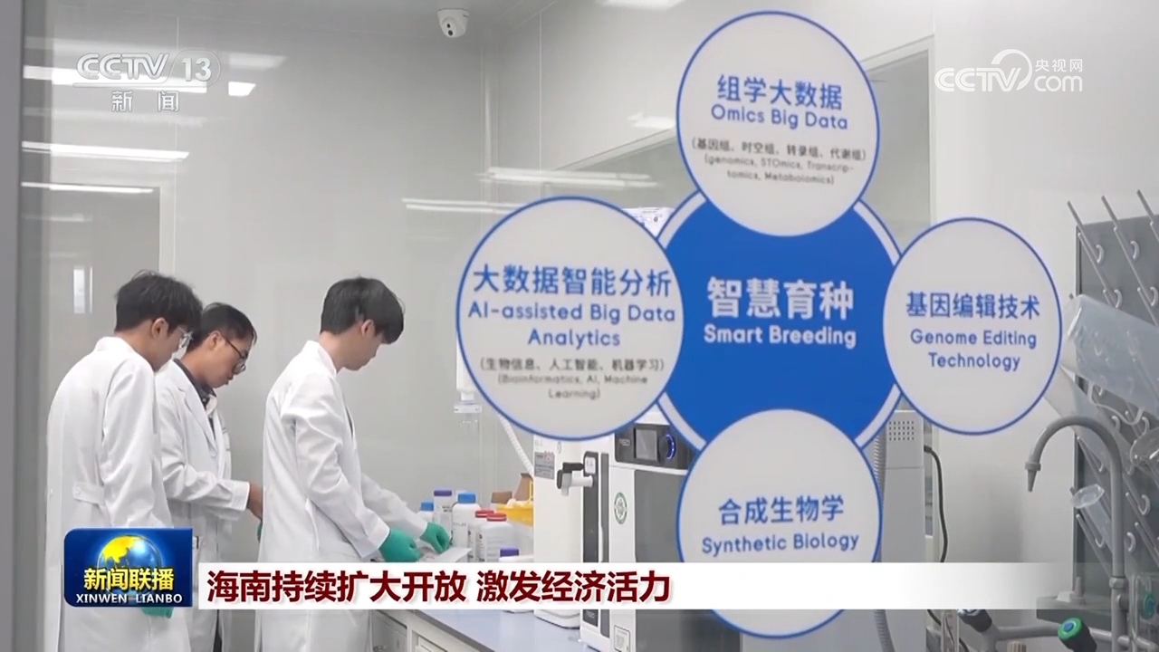 自贸创新赋能陆海联动 广西、海南持续扩大开放激发经济活力(图4)