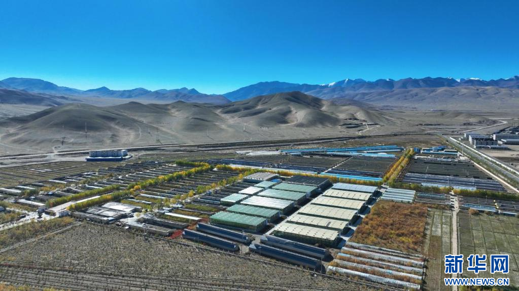 石榴花开 籽籽同心｜云端的菜篮 百姓的幸福