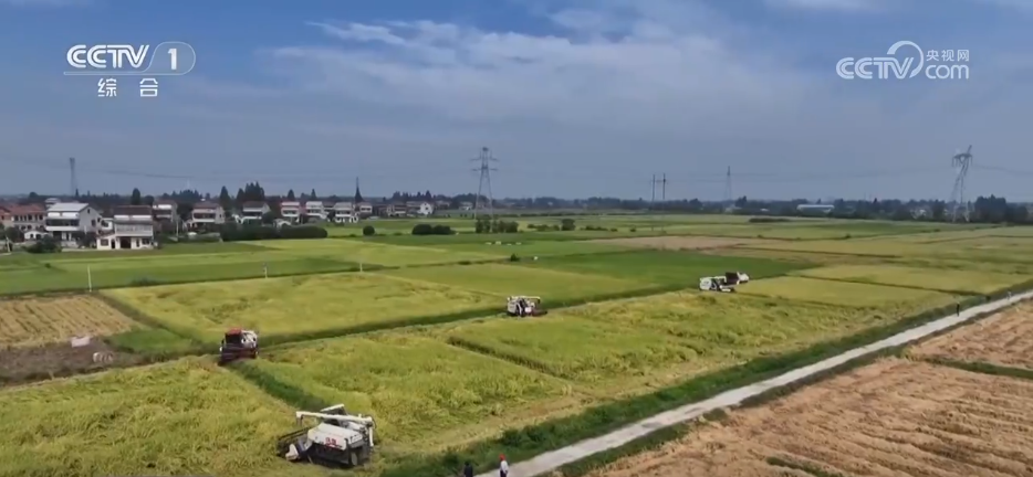多地积极应对阴雨天气 力保秋粮丰产归仓(图4)