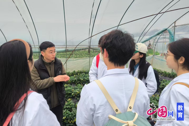 “神奇之水”改变农业：西南科技大学肖伟博士引领电解水农业技术绿色革命