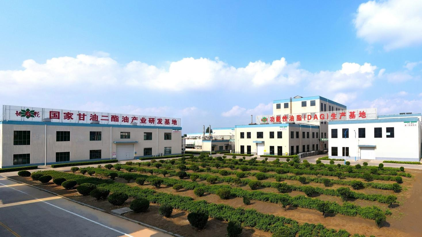 至高荣誉 行业引领｜长寿花食品荣膺中国功能性食品领军企业(图4)