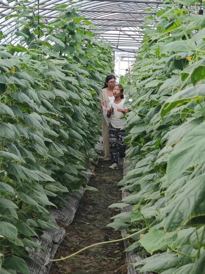 希望的田野上 “佩奇姐姐”生态园拉满农业情绪价值(图2)