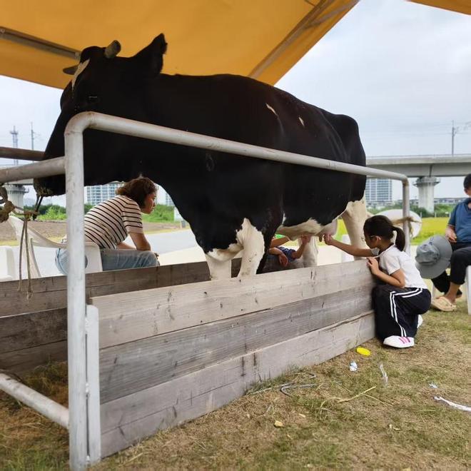 希望的田野上 “佩奇姐姐”生态园拉满农业情绪价值(图3)