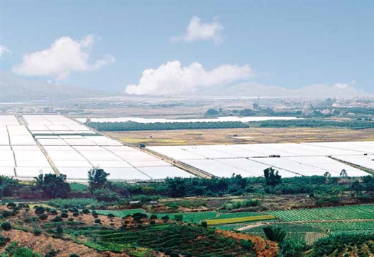 抓住新常态下新机遇——中农办负责人谈一号文件热点问题