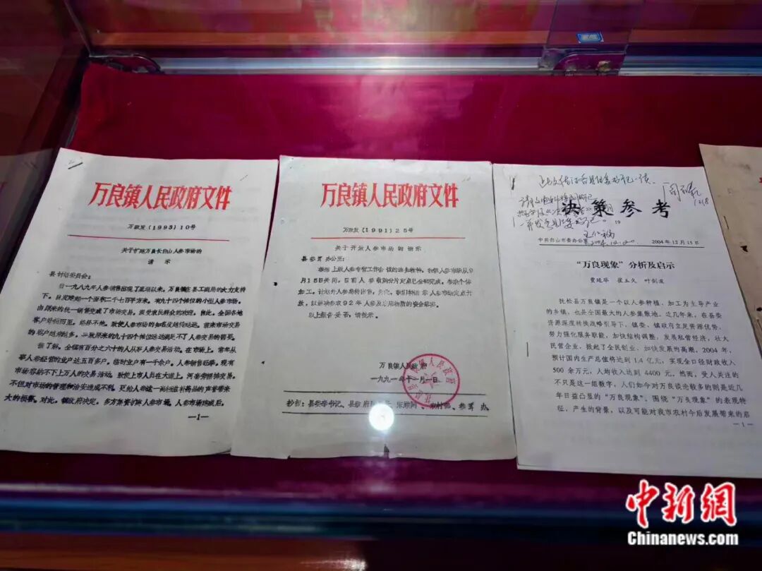 这座东北小城人“参”赢家！