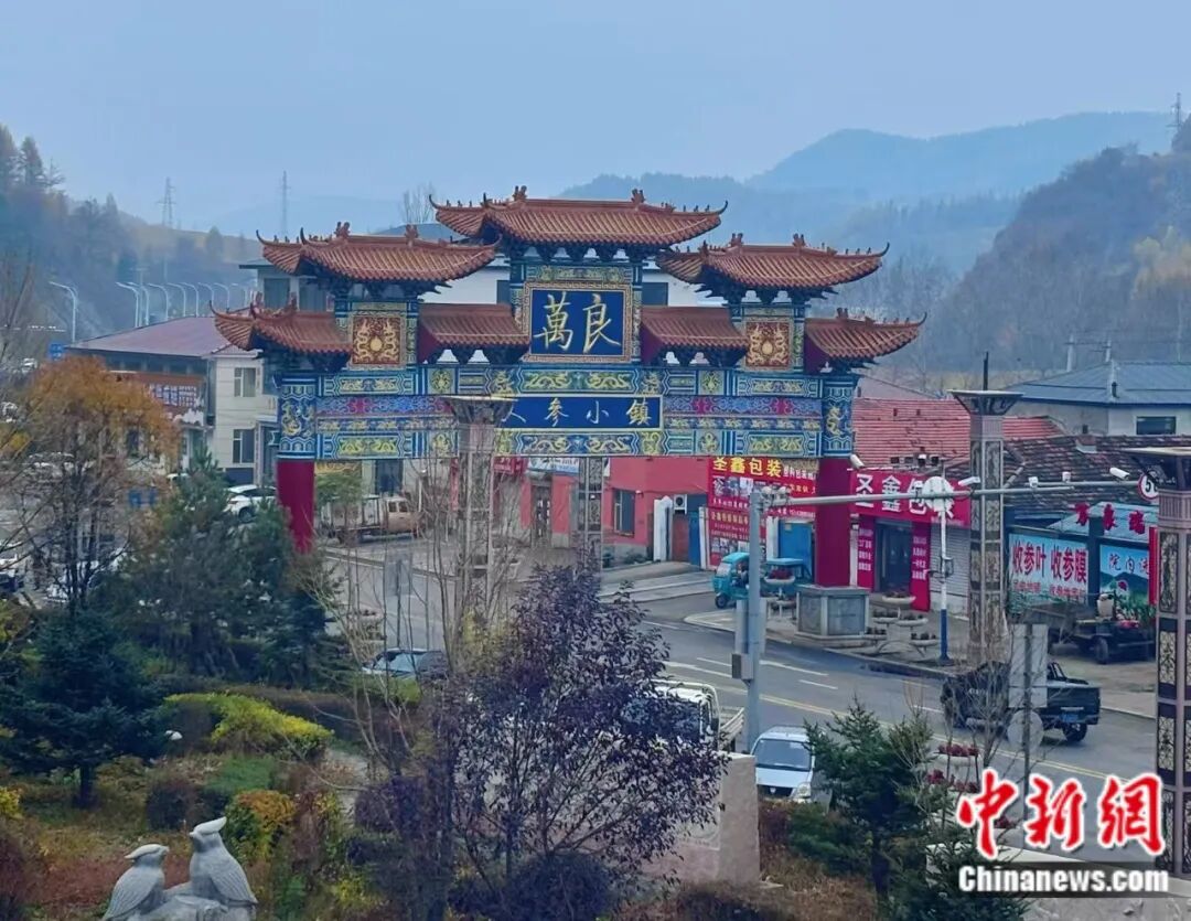 这座东北小城人“参”赢家！(图3)