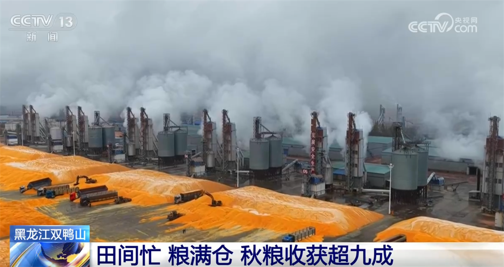 金秋十月“丰”景如画​ 机械化提质增效奏响现代农业“奋进曲”(图5)