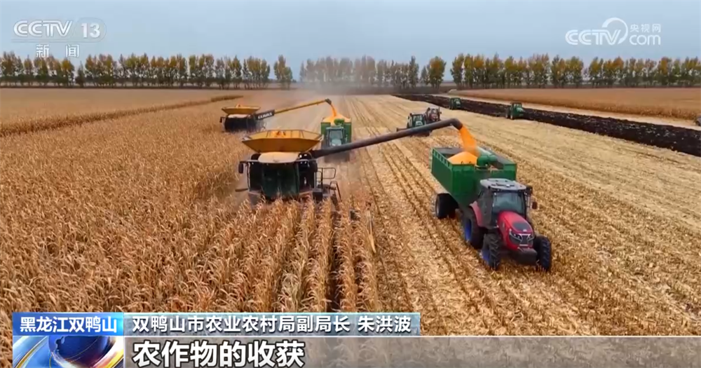金秋十月“丰”景如画​ 机械化提质增效奏响现代农业“奋进曲”(图6)