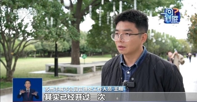 桂花开花“姗姗来迟” 最佳赏桂期持续多久？(图3)