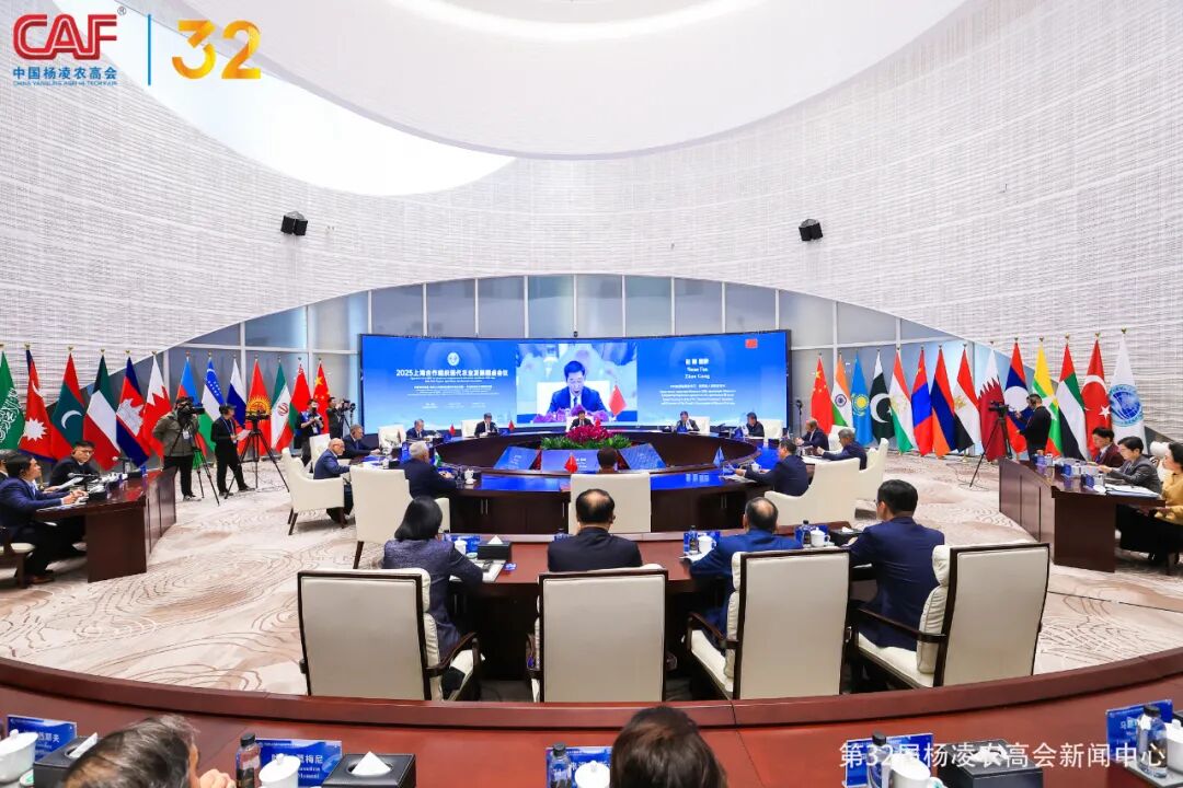2025上海合作组织现代农业发展圆桌会议召开