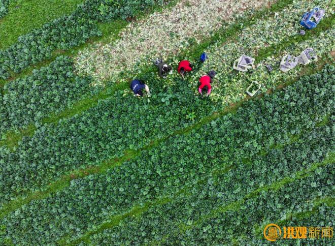 南昌“十四五”：农业农村工作稳中有进、持续向好(图2)