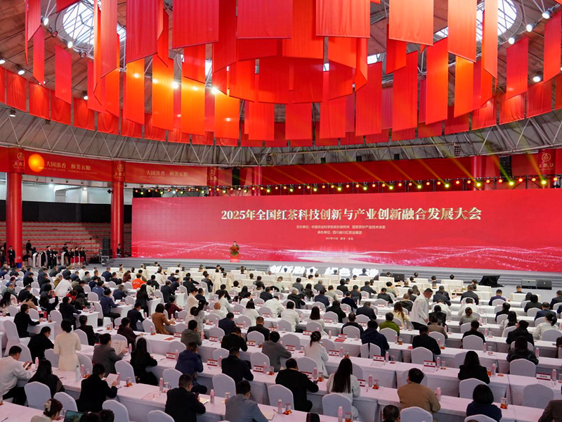 業界：科技創新推動紅茶產業加速發展