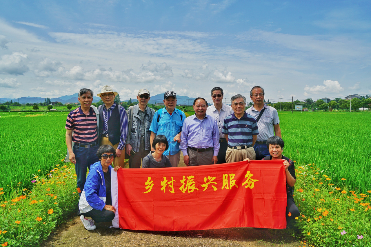 第一视点·记者手记丨枫叶经霜红愈艳 菊花晚节馥尤浓(图3)