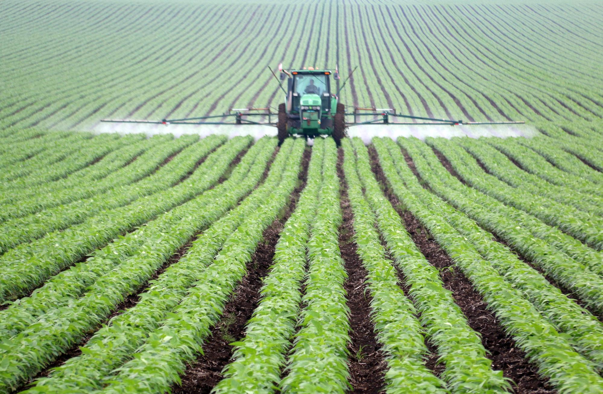 守护“地球之肺” 中巴合作破解雨林保护与农业发展兼顾难题