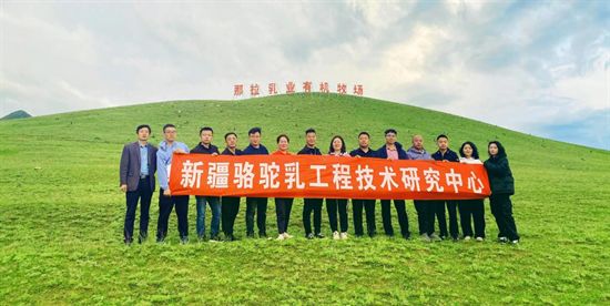 台艳杰：从销售一线到行业领航者中国食品专访那拉集团掌舵人(图5)