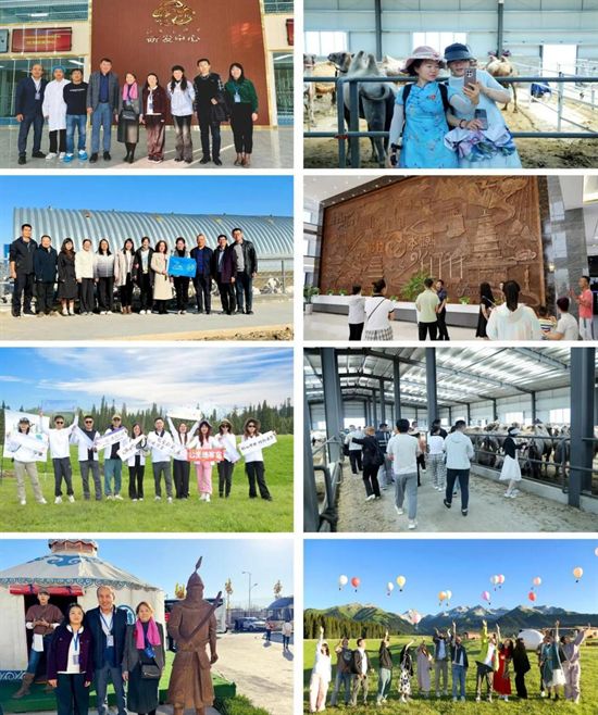 台艳杰：从销售一线到行业领航者中国食品专访那拉集团掌舵人(图4)