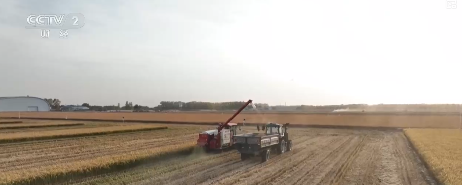 中国饭碗如何端得更牢？以怎样面貌迈向农业农村现代化？(图4)
