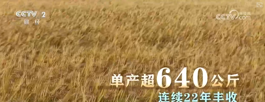 中国饭碗如何端得更牢？以怎样面貌迈向农业农村现代化？(图8)