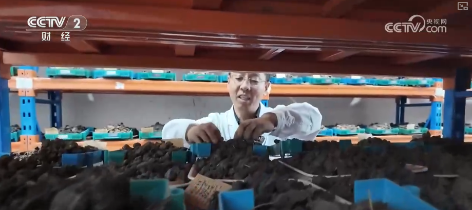 中国饭碗如何端得更牢？以怎样面貌迈向农业农村现代化？(图10)