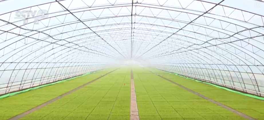 中国饭碗如何端得更牢？以怎样面貌迈向农业农村现代化？(图12)