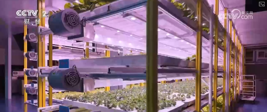 中国饭碗如何端得更牢？以怎样面貌迈向农业农村现代化？(图28)