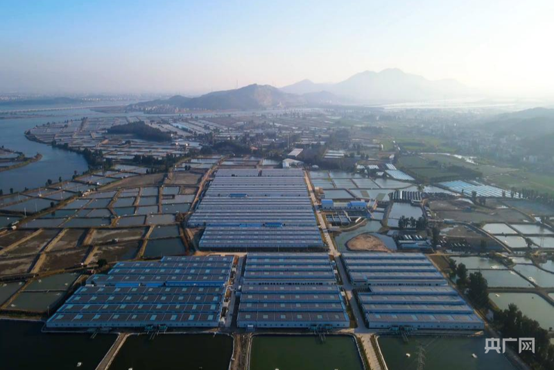 福清现代农业产业园：“科技+生态+全链”模式 激活乡村振兴新动能