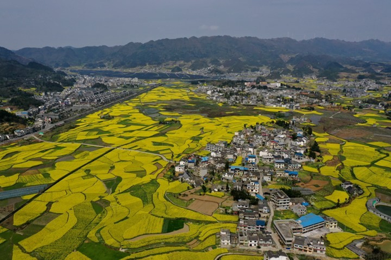 贵州农业农村发展保持稳中有进、稳中向好势头(图2)
