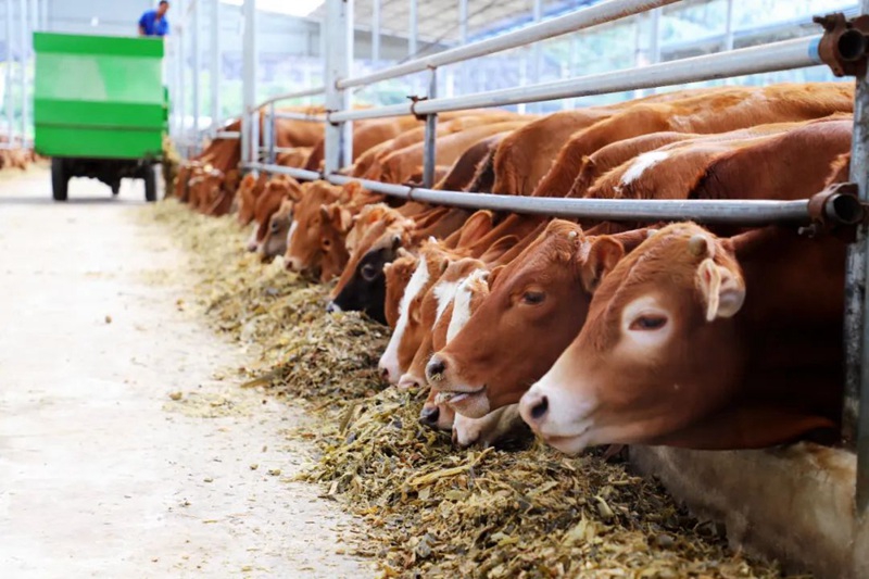 贵州农业农村发展保持稳中有进、稳中向好势头(图5)