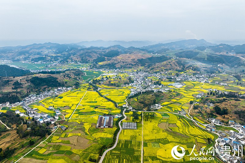 贵州农业农村发展保持稳中有进、稳中向好势头(图6)