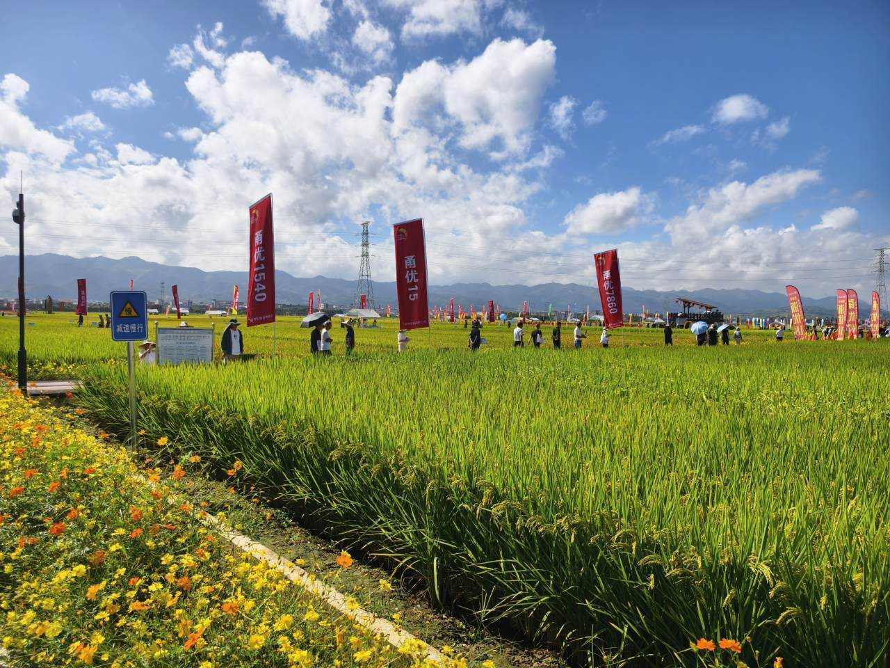 谱写浙江农业农村现代化新篇章｜“浙”里粮仓新“丰”景