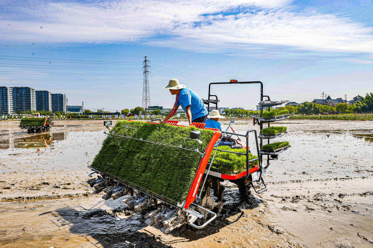 谱写浙江农业农村现代化新篇章｜“浙”里粮仓新“丰”景(图2)