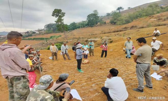 沧源佤族自治县旱地稻技术培训增收、探索农业可持续发展新路径(图2)