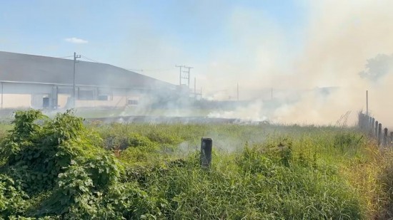 全球连线｜中国技术帮助泰国实现秸秆绿色“变身”