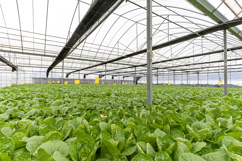 2025年气候自然协同治理中的合作与交流：泰国可持续农食系统转型报告-北京绿研公益发展中心（GHUB）