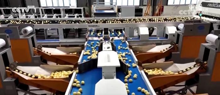 “硬核科技”加速推动农业生产向智能化、规模化转型 乡村振兴产业韧性增强(图7)