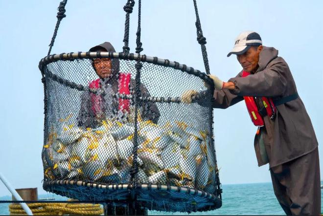 海丝路上的蓝色粮仓 大食物观的阳江实践 2025年丝绸之路电视共同体高峰论坛特别报道(图8)